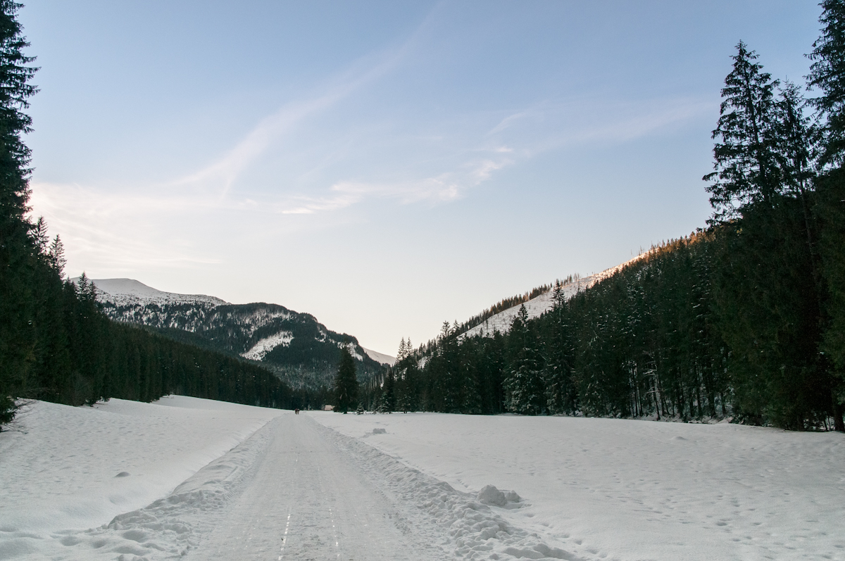 Nazwa:  _DSC1471.jpg
Wyświetleń: 108
Rozmiar:  632,1 KB