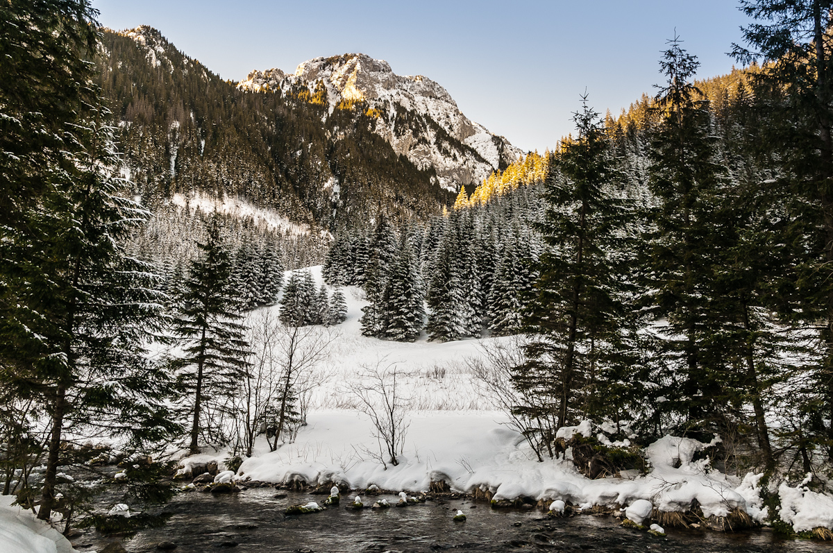 Nazwa:  _DSC1594.jpg
Wyświetleń: 86
Rozmiar:  874,3 KB