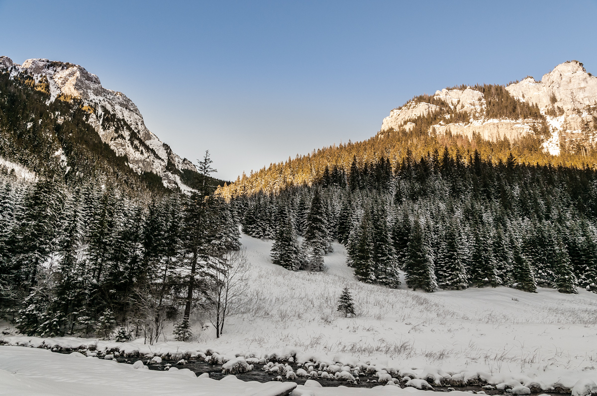 Nazwa:  _DSC1599.jpg
Wyświetleń: 88
Rozmiar:  697,5 KB