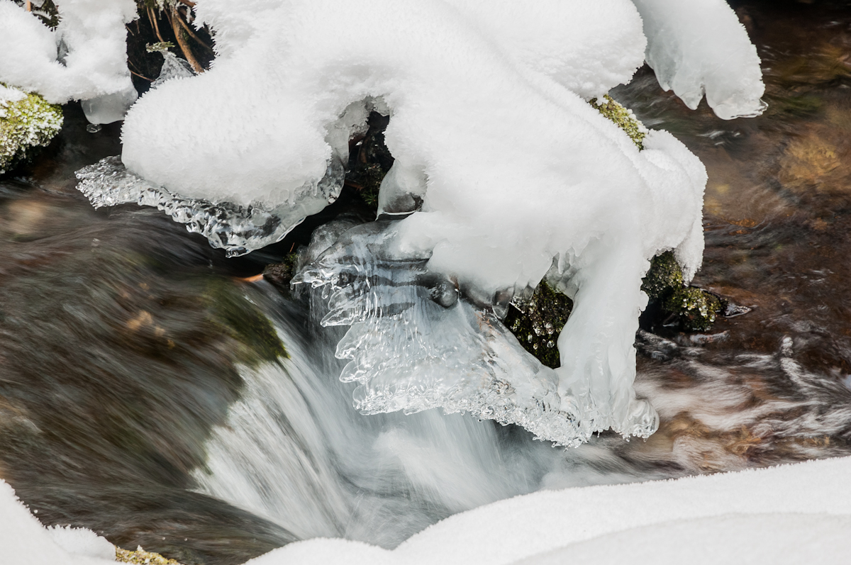Nazwa:  _DSC1839.jpg
Wyświetleń: 105
Rozmiar:  633,1 KB