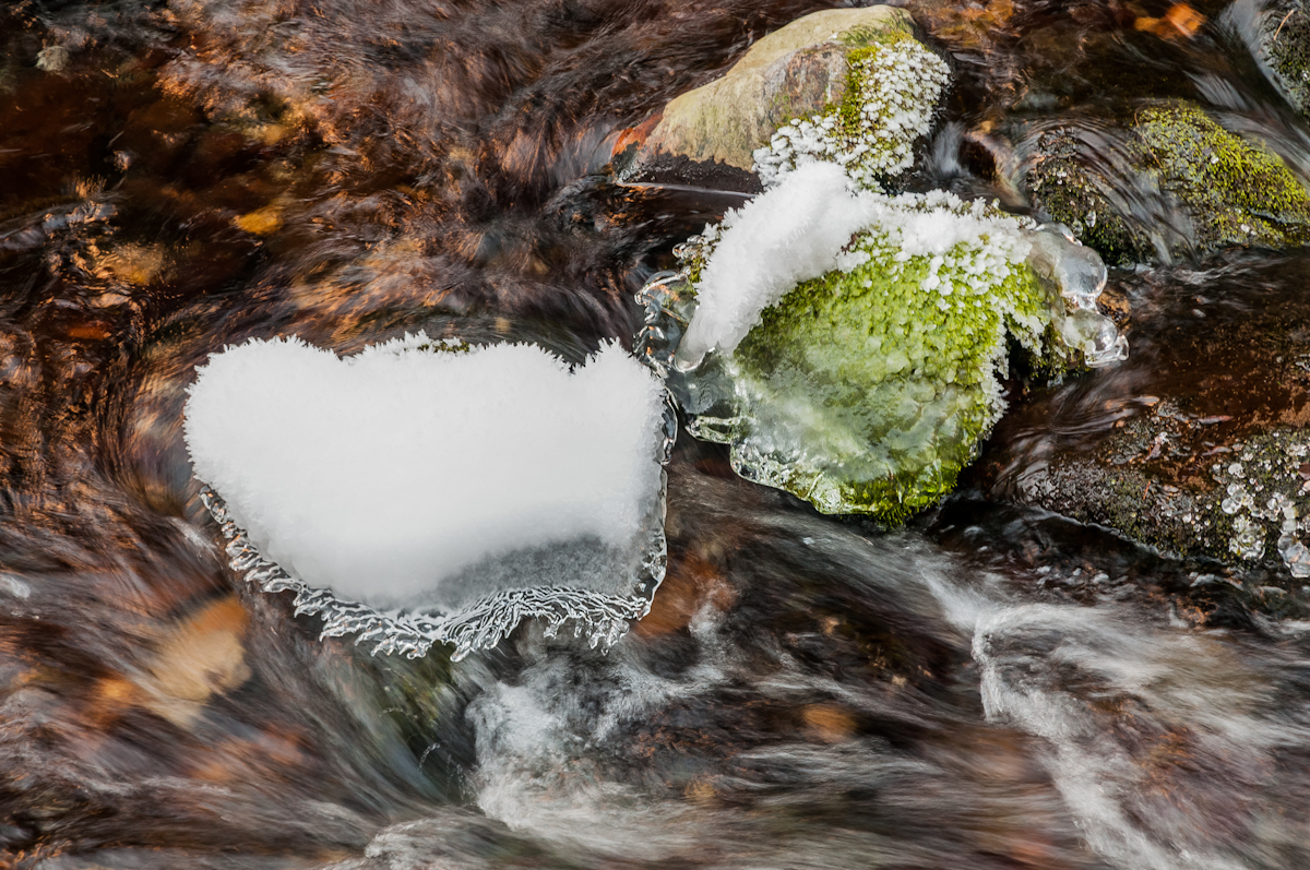Nazwa:  _DSC1844.jpg
Wyświetleń: 97
Rozmiar:  946,4 KB