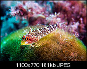 Kliknij obrazek, aby uzyskać większą wersję

Nazwa:	P1016385.jpg
Wyświetleń:	86
Rozmiar:	181,2 KB
ID:	138609