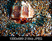 Kliknij obrazek, aby uzyskać większą wersję

Nazwa:	P1016376.jpg
Wyświetleń:	76
Rozmiar:	218,3 KB
ID:	138612