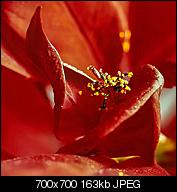 Kliknij obrazek, aby uzyskać większą wersję

Nazwa:	Bez nazwy4_petreq.jpg
Wyświetleń:	118
Rozmiar:	162,7 KB
ID:	138917