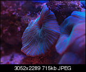 Kliknij obrazek, aby uzyskać większą wersję

Nazwa:	P1240684.jpg
Wyświetleń:	47
Rozmiar:	714,8 KB
ID:	139598