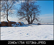 Kliknij obrazek, aby uzyskać większą wersję

Nazwa:	XZ020008_DxO.jpg
Wyświetleń:	200
Rozmiar:	1,05 MB
ID:	139993