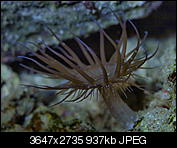 Kliknij obrazek, aby uzyskać większą wersję

Nazwa:	P2011274.jpg
Wyświetleń:	55
Rozmiar:	936,9 KB
ID:	140015