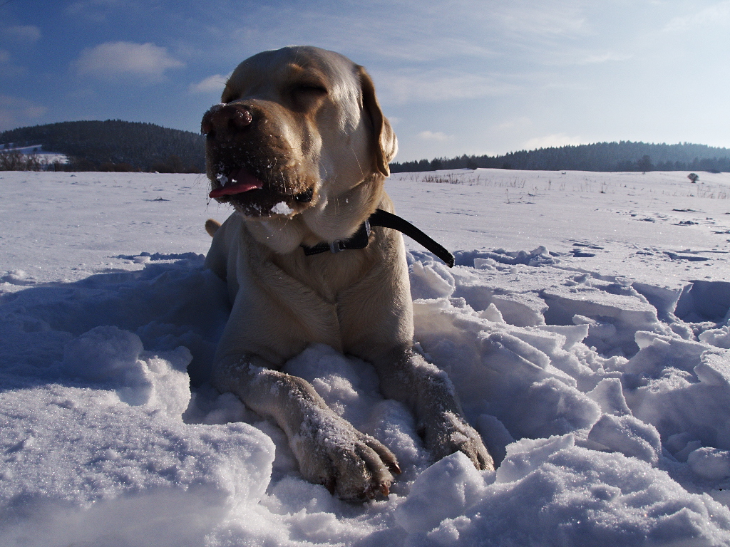 Kliknij obrazek, aby uzyskać większą wersję

Nazwa:	PH073917_1ah.jpg
Wyświetleń:	124
Rozmiar:	531,3 KB
ID:	140383