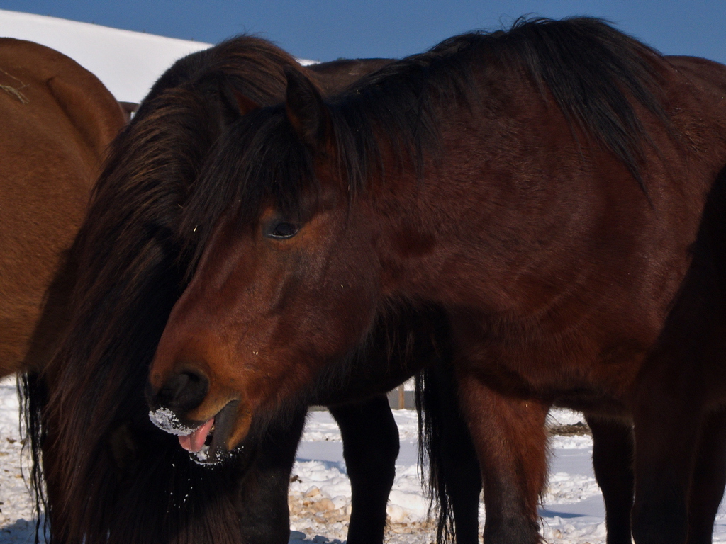 Kliknij obrazek, aby uzyskać większą wersję

Nazwa:	PH073943_1ah.jpg
Wyświetleń:	121
Rozmiar:	390,9 KB
ID:	140384