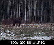 Kliknij obrazek, aby uzyskać większą wersję

Nazwa:	narewka-1012876.jpg
Wyświetleń:	55
Rozmiar:	465,7 KB
ID:	140406