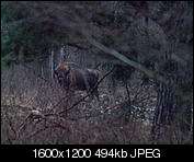 Kliknij obrazek, aby uzyskać większą wersję

Nazwa:	narewka-1012856.jpg
Wyświetleń:	65
Rozmiar:	494,0 KB
ID:	140407