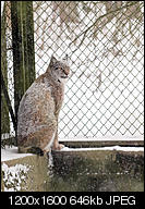 Kliknij obrazek, aby uzyskać większą wersję

Nazwa:	narewka-312770.jpg
Wyświetleń:	69
Rozmiar:	646,0 KB
ID:	140408