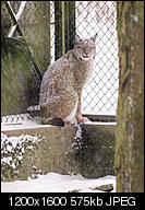 Kliknij obrazek, aby uzyskać większą wersję

Nazwa:	narewka-312769.jpg
Wyświetleń:	65
Rozmiar:	575,5 KB
ID:	140409