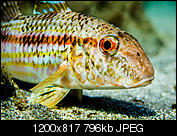 Kliknij obrazek, aby uzyskać większą wersję

Nazwa:	P2011110-2.jpg
Wyświetleń:	65
Rozmiar:	796,4 KB
ID:	140624