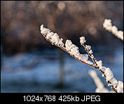 Kliknij obrazek, aby uzyskać większą wersję

Nazwa:	PC266491.jpg
Wyświetleń:	61
Rozmiar:	424,7 KB
ID:	140666