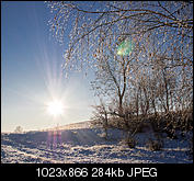 Kliknij obrazek, aby uzyskać większą wersję

Nazwa:	PC266505.jpg
Wyświetleń:	71
Rozmiar:	283,8 KB
ID:	140668