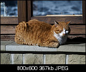 Kliknij obrazek, aby uzyskać większą wersję

Nazwa:	p1330198.jpg
Wyświetleń:	78
Rozmiar:	367,0 KB
ID:	141055