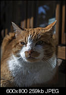 Kliknij obrazek, aby uzyskać większą wersję

Nazwa:	p1330210.jpg
Wyświetleń:	73
Rozmiar:	258,7 KB
ID:	141059