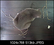 Kliknij obrazek, aby uzyskać większą wersję

Nazwa:	P2180140.jpg
Wyświetleń:	71
Rozmiar:	513,4 KB
ID:	141441