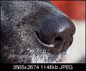 Kliknij obrazek, aby uzyskać większą wersję

Nazwa:	P2261133.jpg
Wyświetleń:	58
Rozmiar:	1,12 MB
ID:	141909