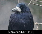 Kliknij obrazek, aby uzyskać większą wersję

Nazwa:	LR.jpg
Wyświetleń:	1182
Rozmiar:	147,1 KB
ID:	141943