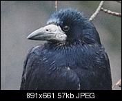 Kliknij obrazek, aby uzyskać większą wersję

Nazwa:	OV_crop.JPG
Wyświetleń:	705
Rozmiar:	57,0 KB
ID:	141945