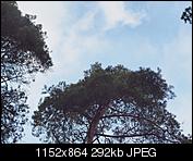 Kliknij obrazek, aby uzyskać większą wersję

Nazwa:	helios44f2003.jpg
Wyświetleń:	154
Rozmiar:	292,3 KB
ID:	142088