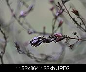 Kliknij obrazek, aby uzyskać większą wersję

Nazwa:	helios44f2005.jpg
Wyświetleń:	182
Rozmiar:	121,5 KB
ID:	142090
