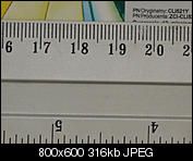 Kliknij obrazek, aby uzyskać większą wersję

Nazwa:	P1480510_f22.jpg
Wyświetleń:	243
Rozmiar:	315,8 KB
ID:	142635