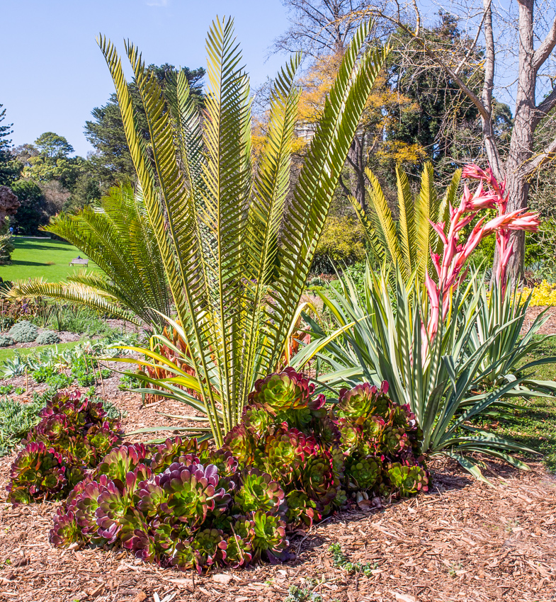 Nazwa:  mel70olek-11.JPG
Wyświetleń: 175
Rozmiar:  905,2 KB