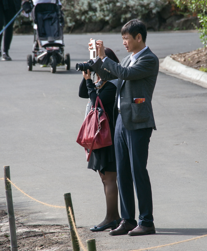 Nazwa:  mel80olek-2.JPG
Wyświetleń: 158
Rozmiar:  398,0 KB