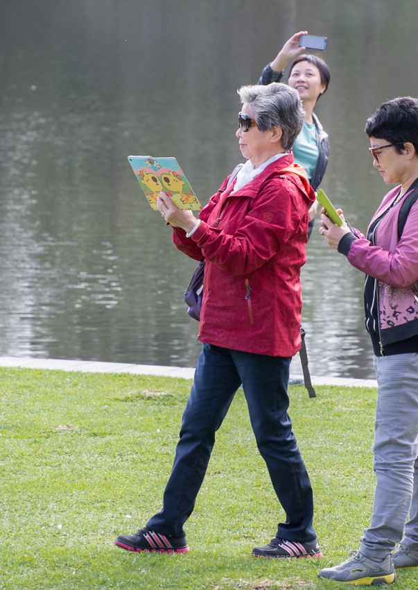 Nazwa:  mel80olek-3.JPG
Wyświetleń: 152
Rozmiar:  471,9 KB