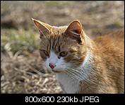 Kliknij obrazek, aby uzyskać większą wersję

Nazwa:	p1330625.jpg
Wyświetleń:	66
Rozmiar:	230,3 KB
ID:	143152