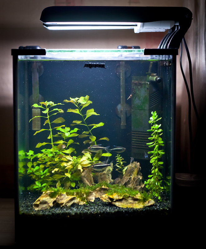 Nazwa:  IMG_1976.jpg
Wyświetleń: 1006
Rozmiar:  425,4 KB