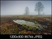 Kliknij obrazek, aby uzyskać większą wersję

Nazwa:	IMG_3419.jpg
Wyświetleń:	109
Rozmiar:	867,4 KB
ID:	144026