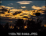 Kliknij obrazek, aby uzyskać większą wersję

Nazwa:	P8092914.jpg
Wyświetleń:	103
Rozmiar:	844,0 KB
ID:	144075