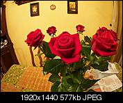 Kliknij obrazek, aby uzyskać większą wersję

Nazwa:	P4030091.JPG
Wyświetleń:	201
Rozmiar:	576,6 KB
ID:	144320