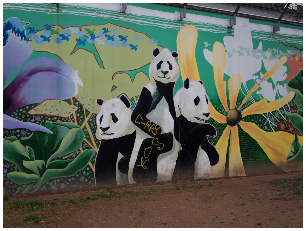 Nazwa:  P3275799.jpg
Wyświetleń: 187
Rozmiar:  664,7 KB