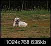 Kliknij obrazek, aby uzyskać większą wersję

Nazwa:	AH172754_1ah.jpg
Wyświetleń:	76
Rozmiar:	636,0 KB
ID:	144447