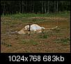 Kliknij obrazek, aby uzyskać większą wersję

Nazwa:	AH172757_1ah.jpg
Wyświetleń:	82
Rozmiar:	682,8 KB
ID:	144448