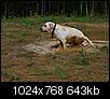 Kliknij obrazek, aby uzyskać większą wersję

Nazwa:	AH172761_1ah.jpg
Wyświetleń:	79
Rozmiar:	643,4 KB
ID:	144449