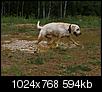 Kliknij obrazek, aby uzyskać większą wersję

Nazwa:	AH172765_1ah.jpg
Wyświetleń:	84
Rozmiar:	593,9 KB
ID:	144450