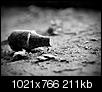 Kliknij obrazek, aby uzyskać większą wersję

Nazwa:	bezpiecznik.jpg
Wyświetleń:	184
Rozmiar:	211,1 KB
ID:	14462
