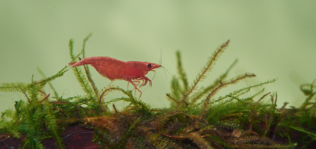 Kliknij obrazek, aby uzyskać większą wersję

Nazwa:	P4050224.jpg
Wyświetleń:	504
Rozmiar:	316,8 KB
ID:	144744