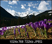 Kliknij obrazek, aby uzyskać większą wersję

Nazwa:	P4131158 min.jpg
Wyświetleń:	344
Rozmiar:	722,5 KB
ID:	144986