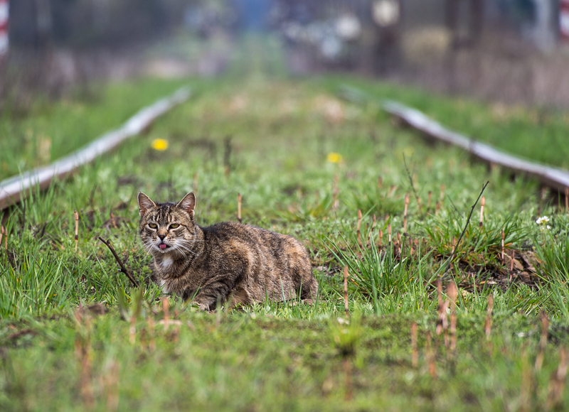 Nazwa:  lotolek.JPG
Wyświetleń: 167
Rozmiar:  400,0 KB