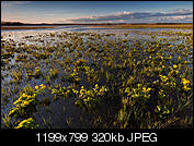 Kliknij obrazek, aby uzyskać większą wersję

Nazwa:	IMG_4189.jpg
Wyświetleń:	79
Rozmiar:	320,0 KB
ID:	145598