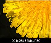 Kliknij obrazek, aby uzyskać większą wersję

Nazwa:	P5010070 (Custom).jpg
Wyświetleń:	67
Rozmiar:	87,4 KB
ID:	146357