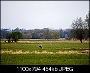 Kliknij obrazek, aby uzyskać większą wersję

Nazwa:	_4271658k.jpg
Wyświetleń:	70
Rozmiar:	454,3 KB
ID:	146492