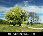 Kliknij obrazek, aby uzyskać większą wersję

Nazwa:	1519.jpg
Wyświetleń:	72
Rozmiar:	689,0 KB
ID:	146706